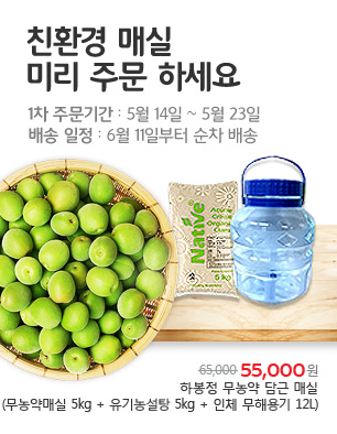 매실기획전