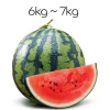 ����(6KG~7KG)