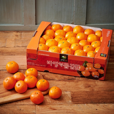 청정 제주 서귀포 100% 당도선별 감귤 (3.8KG/박스)