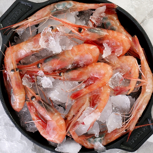 롯데마트몰 - 묵호항 자연산 홍새우 1kg 상세정보 묵호항 자연산 홍새우 1kg