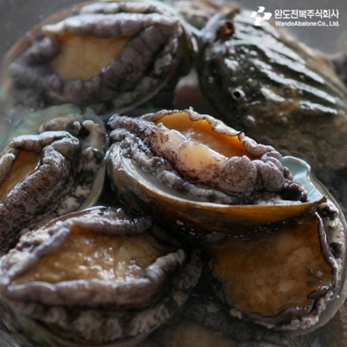 롯데마트몰 - 완도참전복 11-12마리 1kg 상세정보 완도참전복 11-12마리 1kg