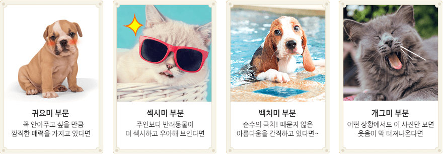 귀요미 부문-꼭 안아주고 싶을 만큼 깜직한 매력 을 가지고 있다면/섹시미 부문-주인보다 반려동물이 더 섹시하고 우아해 보인다면 /백치미 부문-순수의 극치! 때묻지 않은 아름다움을 간직하고 있다면 /개그미 부문-어떤 상황에서도 이 사진만 보면 웃음이 막 터져나온다면